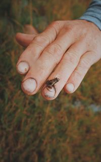 Close-up of person holding hand