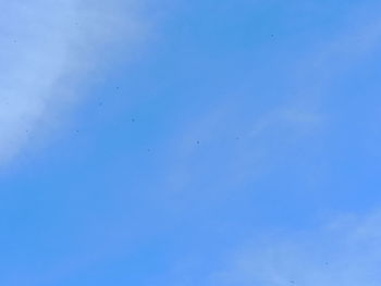 Low angle view of birds flying in sky