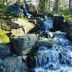 River flowing through rocks in forest