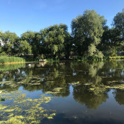 Scenic view of lake against clear sky