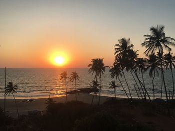 Silhouette of palm trees at beach during sunset