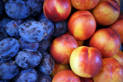 Detail shot of plums and peaches