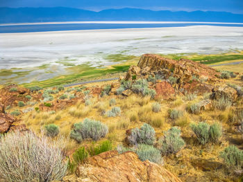 Scenic view of beach