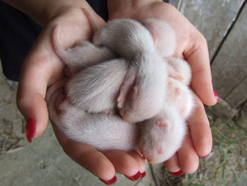 Close-up of hand holding hands