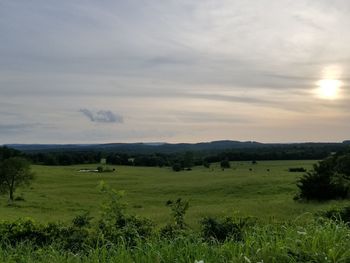 Scenic view of field against sky