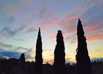 Silhouette of trees at sunset