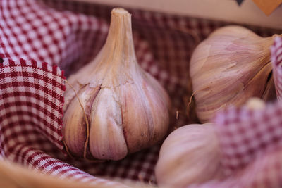 Close-up of garlic on napkin