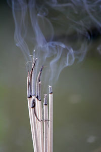 Incense burn to worship the buddha and the sacred.