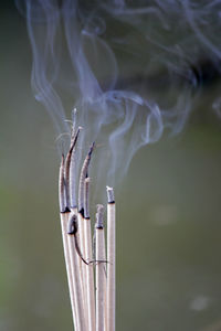 Incense burning to worship sacred objects or to worship the lord buddha.