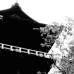 Low angle view of trees against the sky