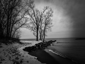 Bare tree by sea against sky