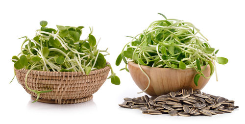 Close-up of fresh vegetables in basket against white background