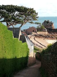 Footpath amidst houses and sea against sky