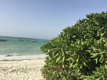 Scenic view of sea against clear sky