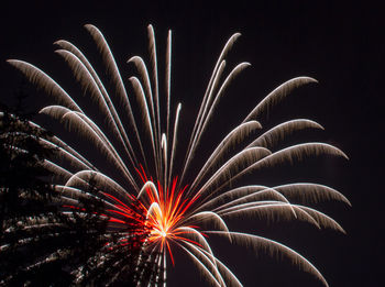 Low angle view of firework display against sky at night