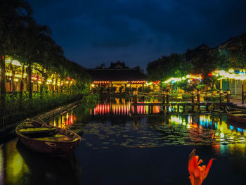 Illuminated plants by lake against sky at night