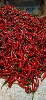 Close-up of red chili peppers