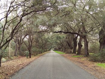 Road amidst trees in forest