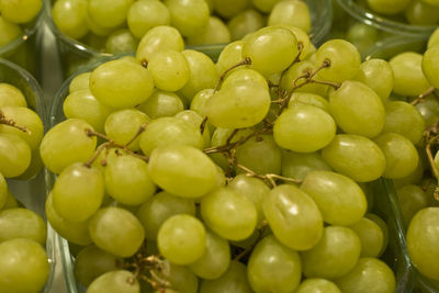 Full frame shot of fruits for sale