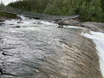 Scenic view of river flowing through forest