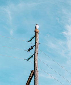 Low angle view of bird perching on wooden post against sky