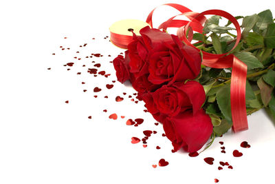 Close-up of red rose against white background