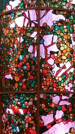 Full frame shot of multi colored leaves