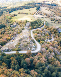 Drone shot to the forest in autumn at monte fumaiolo