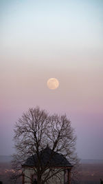 Bare tree against sky at sunset