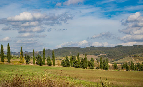 Scenic view of field against sky