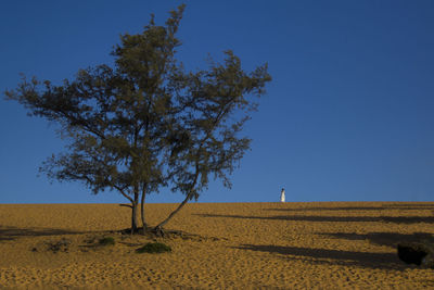 Tree on field against clear blue sky