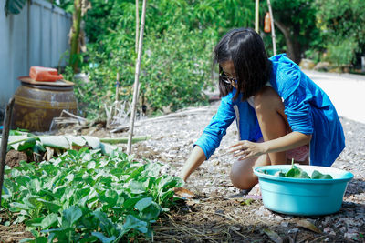 Portrait smiling girl harvesting the vegetable from the planting garden at backyard of house