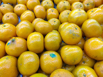 Full frame shot of oranges