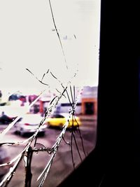 Close-up of wet glass window