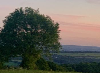 Trees on landscape against sky at sunset