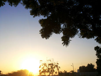 Silhouette trees against sky during sunset