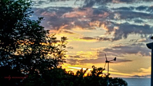 Low angle view of trees against cloudy sky