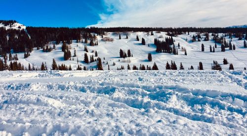 Panoramic view of snow covered land against sky