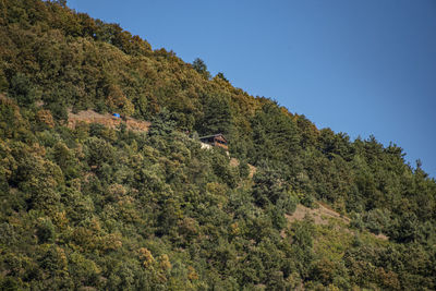 High angle view of trees against clear blue sky