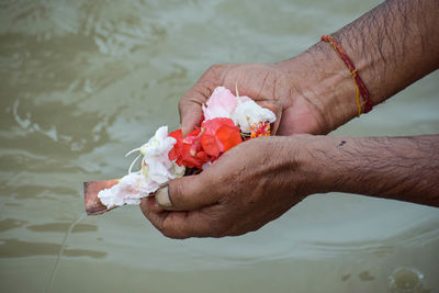 Cropped hand of woman holding flower