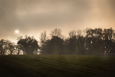 Trees on field against sky during sunset