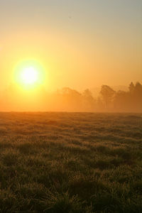 Scenic view of field against sky during sunset