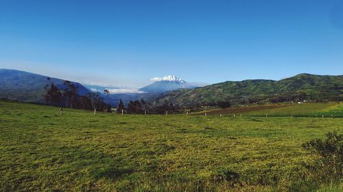 Scenic view of field and mountains against clear blue sky