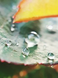 Close-up of water drops on glass