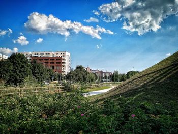 Plants growing on field by buildings against sky