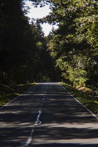 Empty road along trees