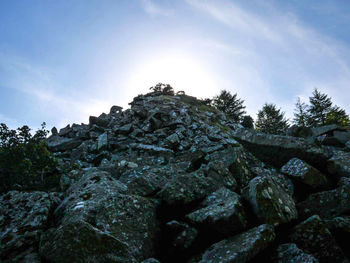 Low angle view of rocks in forest against sky
