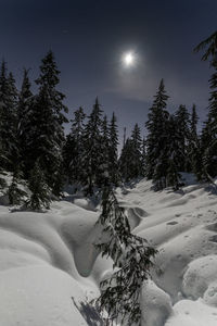 Scenic view of snow covered mountains against sky at night