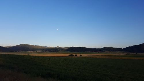 Scenic view of field against clear blue sky