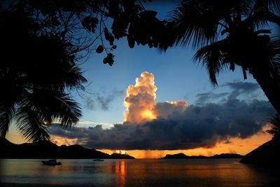 Scenic view of sunset over sea